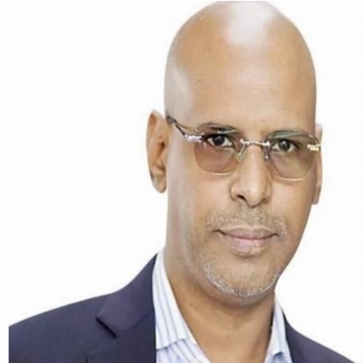 الشيخ ولد السالك 