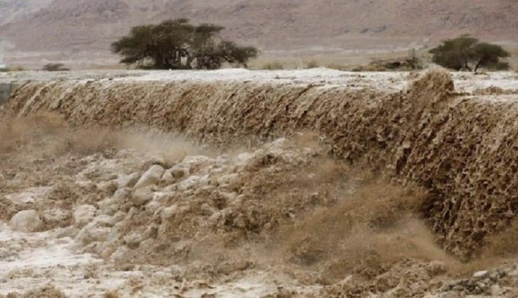 مدار الساعة,أخبار الأردن,اخبار الاردن,وزارة الإدارة المحلية