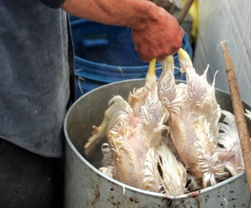 مدار الساعة,أخبار الأردن,اخبار الاردن,وزارة الصناعة والتجارة,وزارة الصناعة