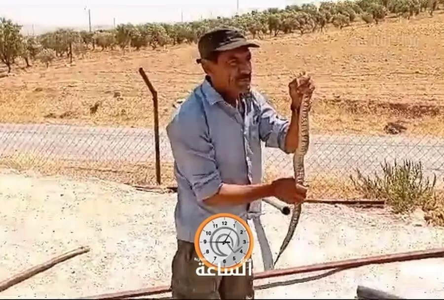 مدار الساعة,Video,فيديو,أخبار الأردن,اخبار الاردن