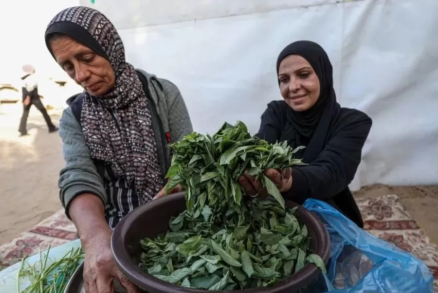مدار الساعة,أخبار عربية ودولية,القوات البرية
