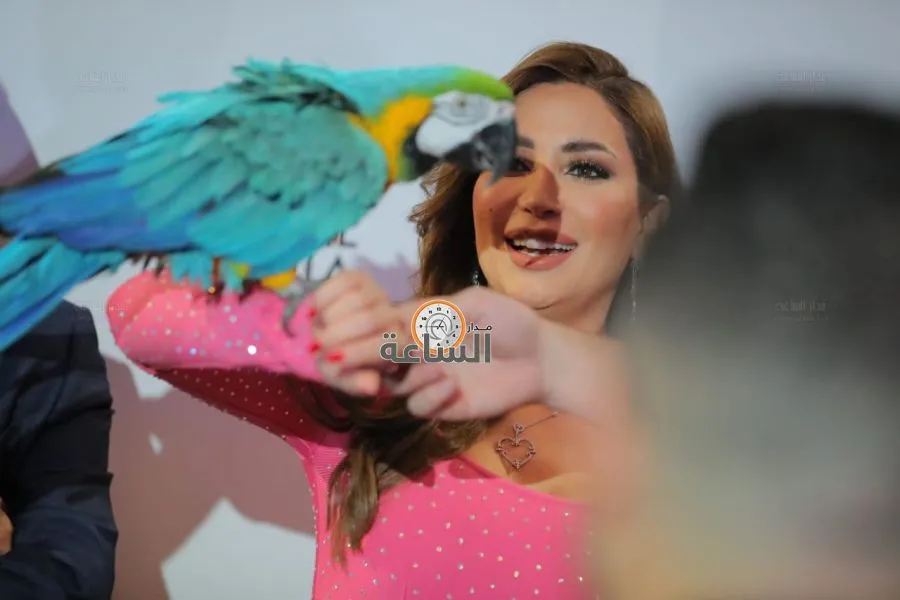 مدار الساعة,Video,فيديو,أخبار الأردن,اخبار الاردن,الفنانة نسرين طافش