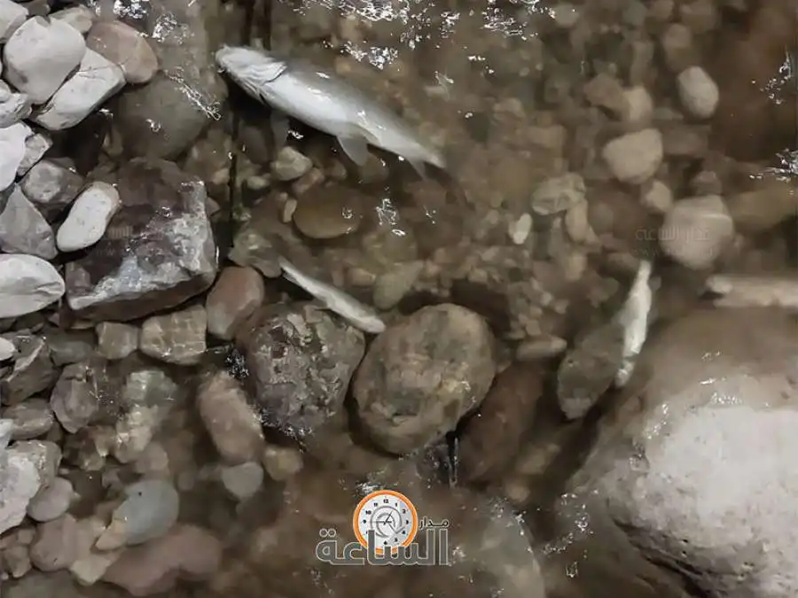 مدار الساعة,أخبار الأردن,اخبار الاردن,الدوريات الخارجية