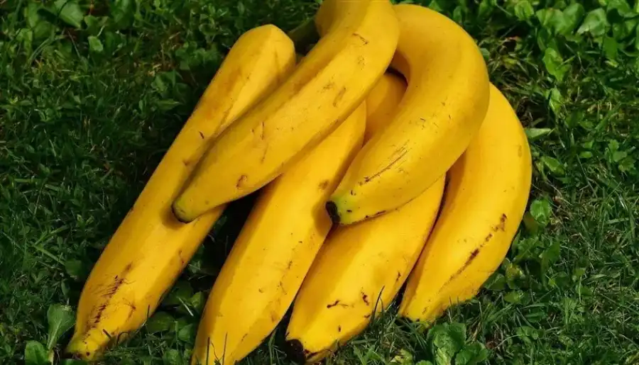 مدار الساعة,أخبار الصحة والأسرة