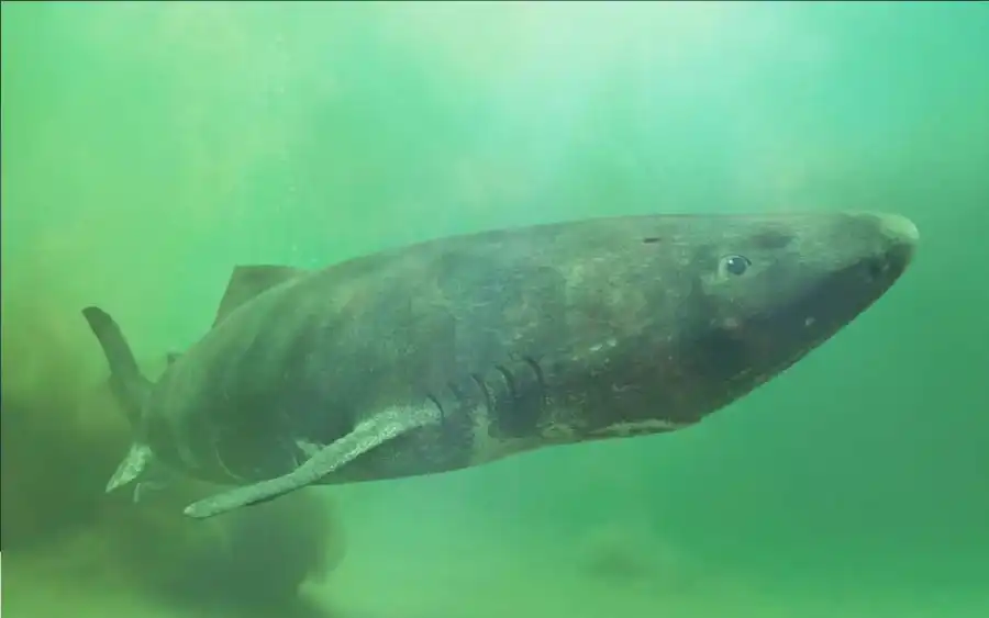 مدار الساعة,أخبار خفيفة ومنوعة,وسائل التواصل الاجتماعي