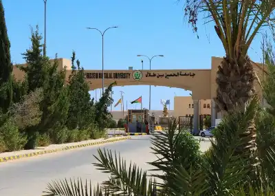 جامعة الحسين تدرس مشكلة الذباب في