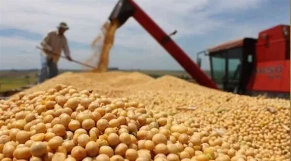 مدار الساعة,أخبار اقتصادية,وزارة الزراعة