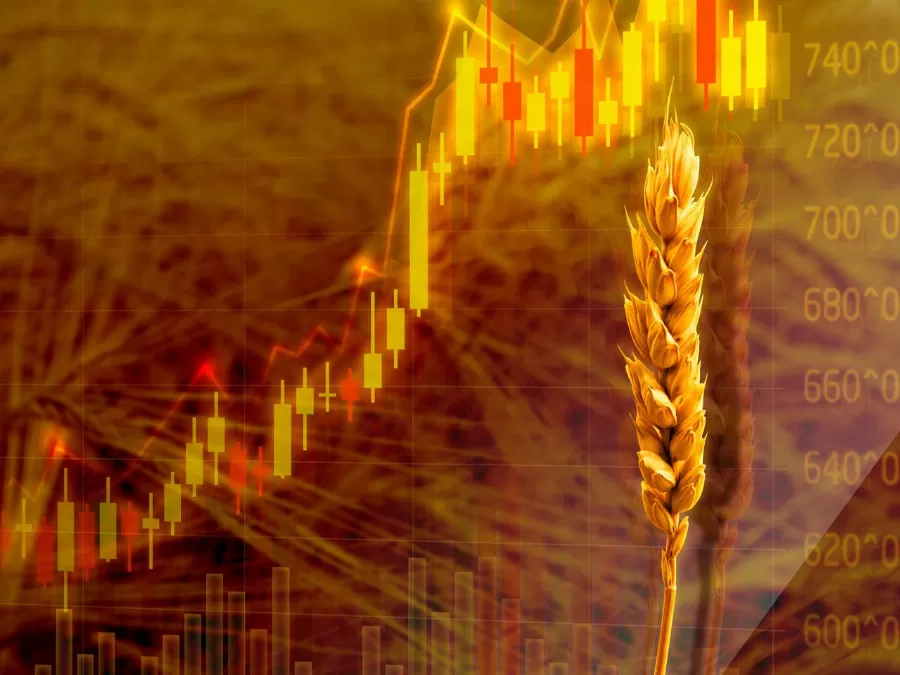 مدار الساعة,أخبار اقتصادية,كورونا