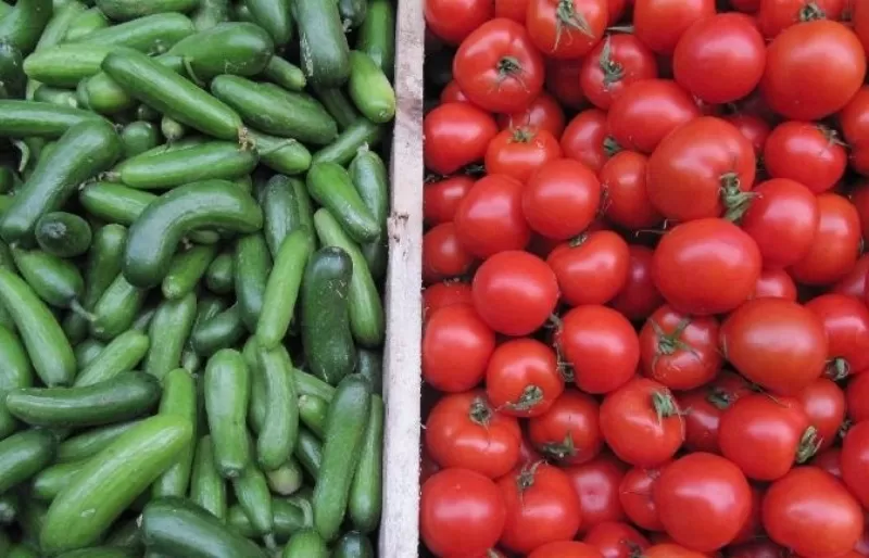 مدار الساعة,أخبار اقتصادية,وزارة الزراعة,درجات الحرارة