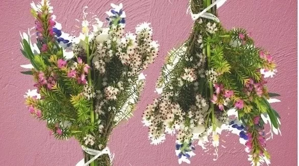 مدار الساعة,أخبار الأسرة,درجات الحرارة