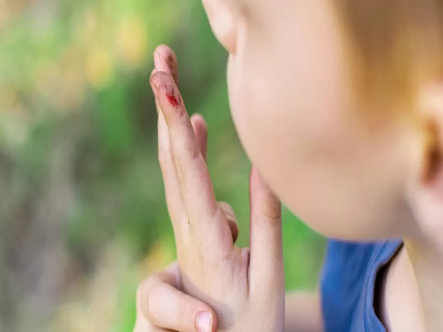 مدار الساعة,أخبار الأسرة