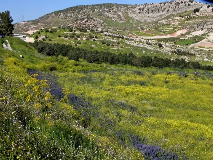 مدار الساعة,الطقس في الأردن اليوم,طقس الأردن,طقس العرب,طقس العرب الاردن,درجات الحرارة العظمى والصغرى,درجات الحرارة,الأرصاد الجوية,البحر الميت