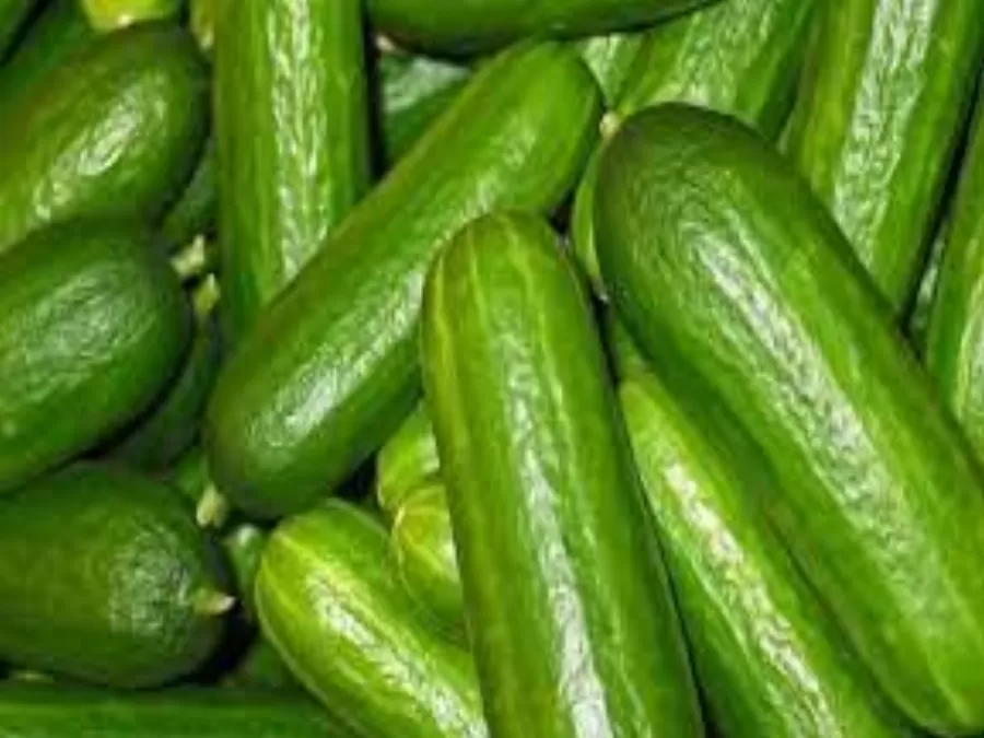 مدار الساعة,أخبار الأسرة