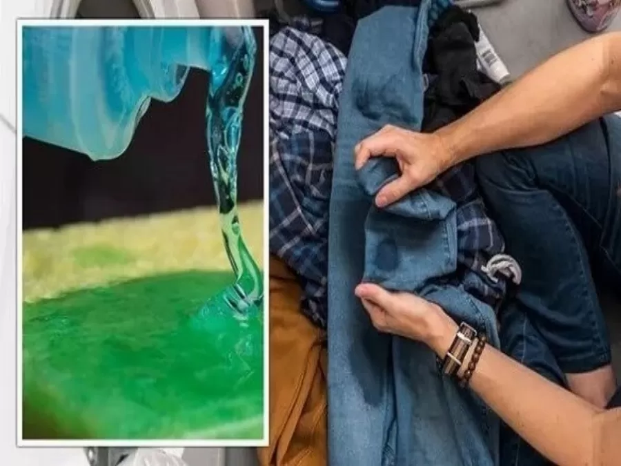 مدار الساعة,أخبار الأسرة