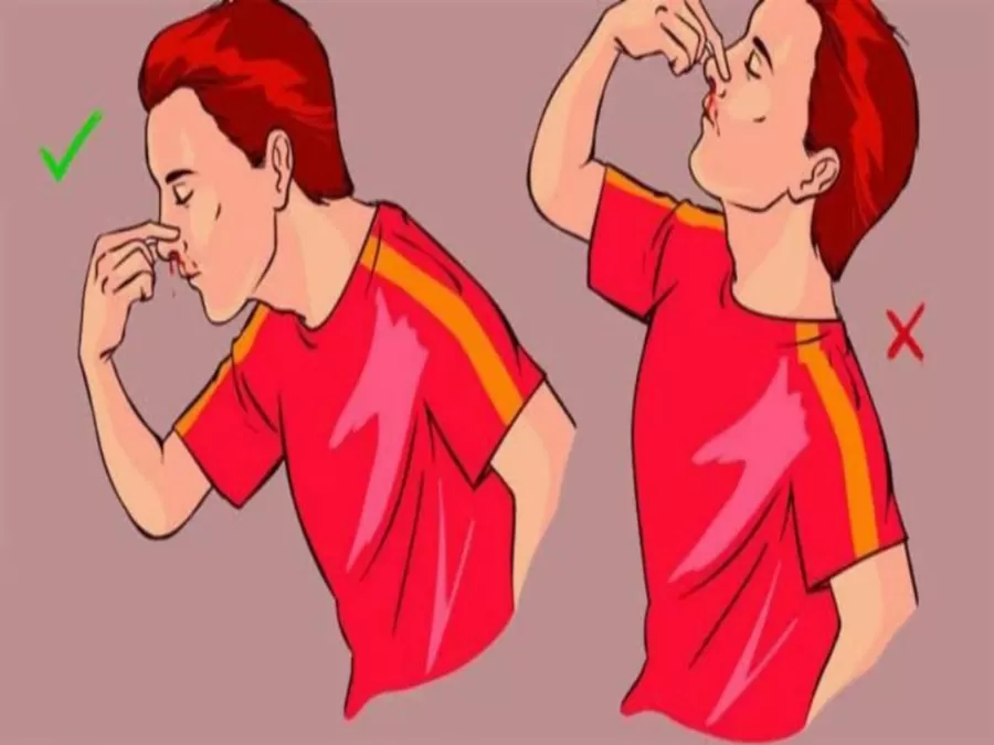 مدار الساعة,أخبار الأسرة