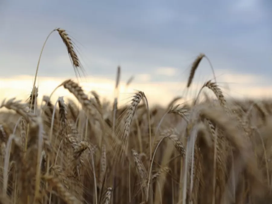 مدار الساعة,أخبار اقتصادية,الاتحاد الأوروبي