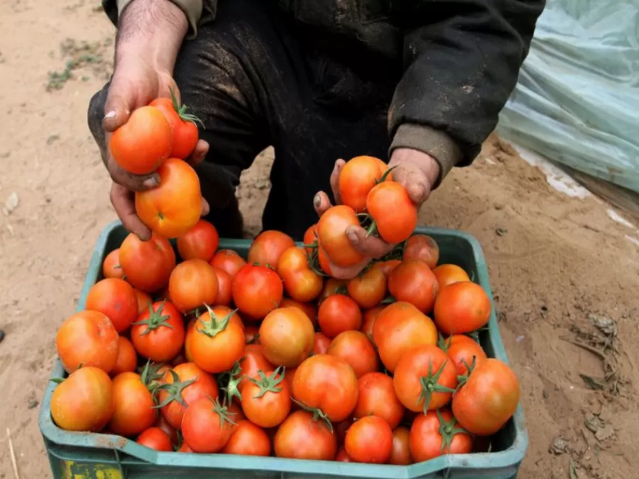 مدار الساعة,أخبار اقتصادية,وزارة الصناعة والتجارة,وزارة الصناعة,درجات الحرارة