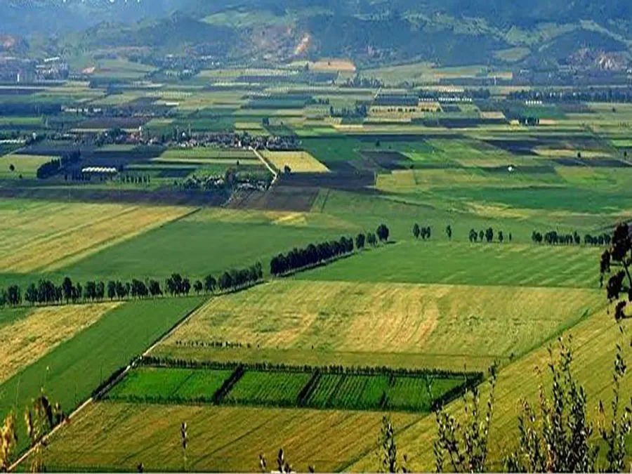 مدار الساعة,أخبار اقتصادية