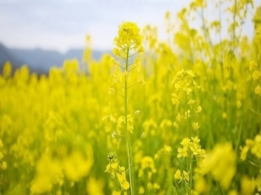 مدار الساعة,أخبار اقتصادية