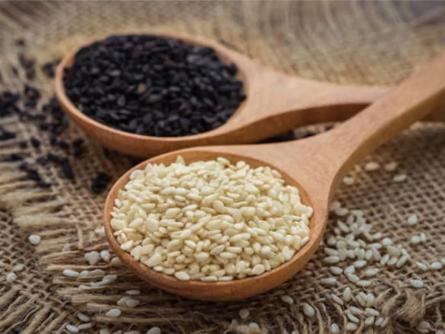 مدار الساعة,أخبار الأسرة