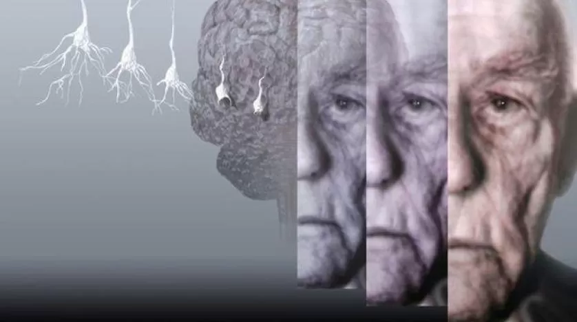 مدار الساعة,أخبار الأسرة