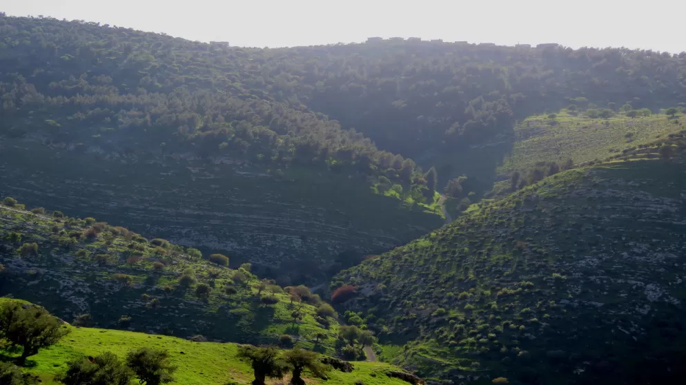 مدار الساعة,الطقس في الأردن اليوم,طقس الأردن,طقس العرب,طقس العرب الاردن,درجات الحرارة,الأرصاد الجوية,البحر الميت