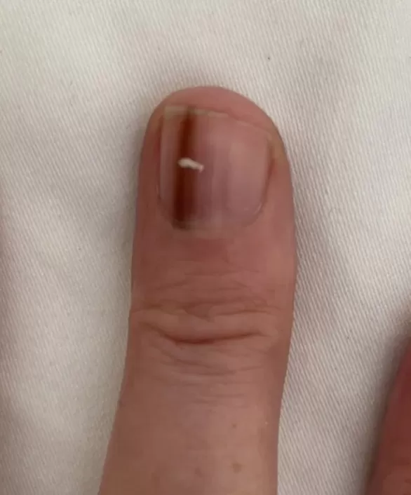 مدار الساعة,أخبار الأسرة
