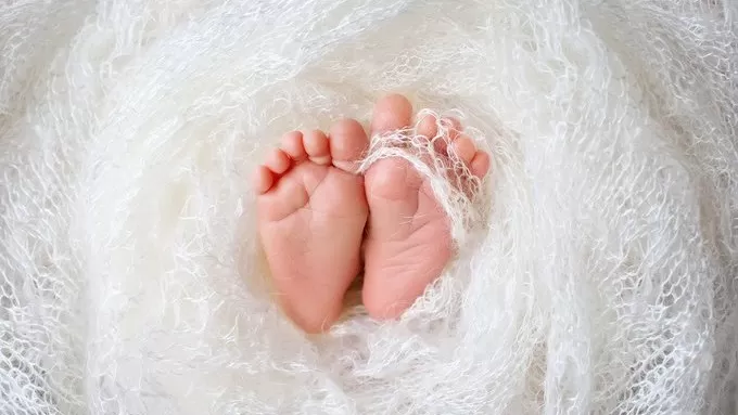 مدار الساعة,أخبار الأسرة
