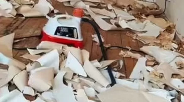 مدار الساعة,أخبار الأسرة