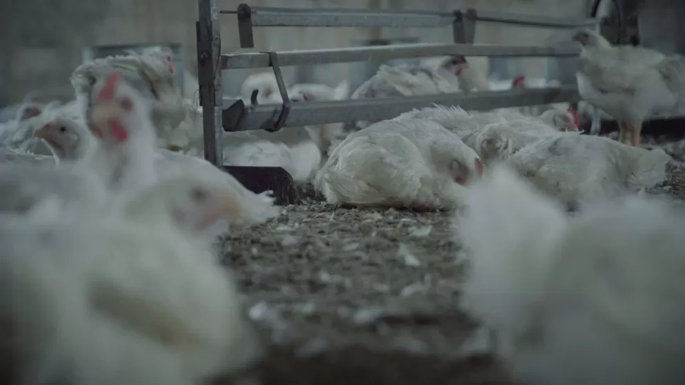 مدار الساعة,أخبار اقتصادية,وزارة الصناعة والتجارة,غرفة تجارة عمان,وزارة الصناعة