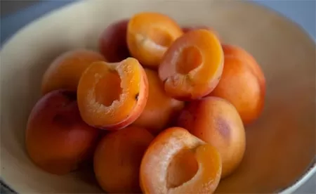 مدار الساعة,أخبار الأسرة,وزارة الزراعة