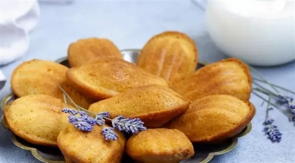 مدار الساعة,أخبار الأسرة