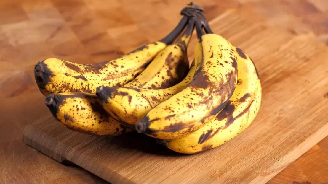 مدار الساعة,أخبار الأسرة