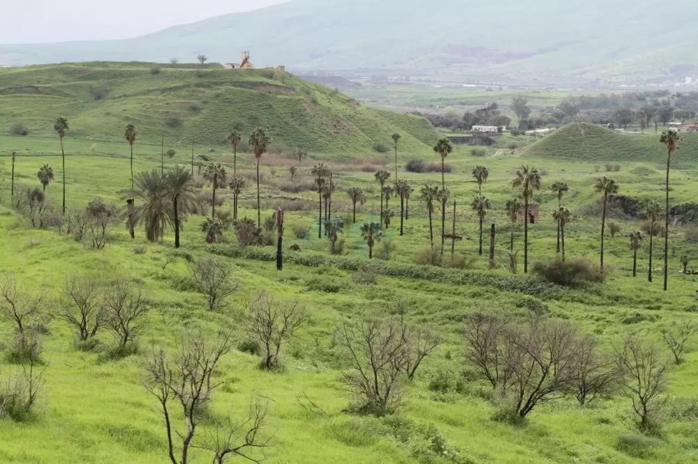 مدار الساعة,الطقس في الأردن اليوم,طقس الأردن,طقس العرب,طقس العرب الاردن,الأرصاد الجوية,درجات الحرارة