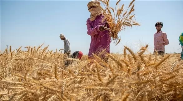 مدار الساعة,أخبار اقتصادية