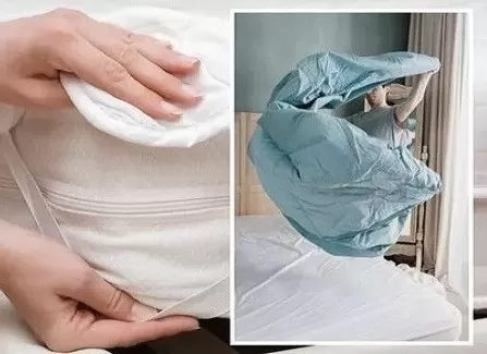 مدار الساعة,أخبار الأسرة