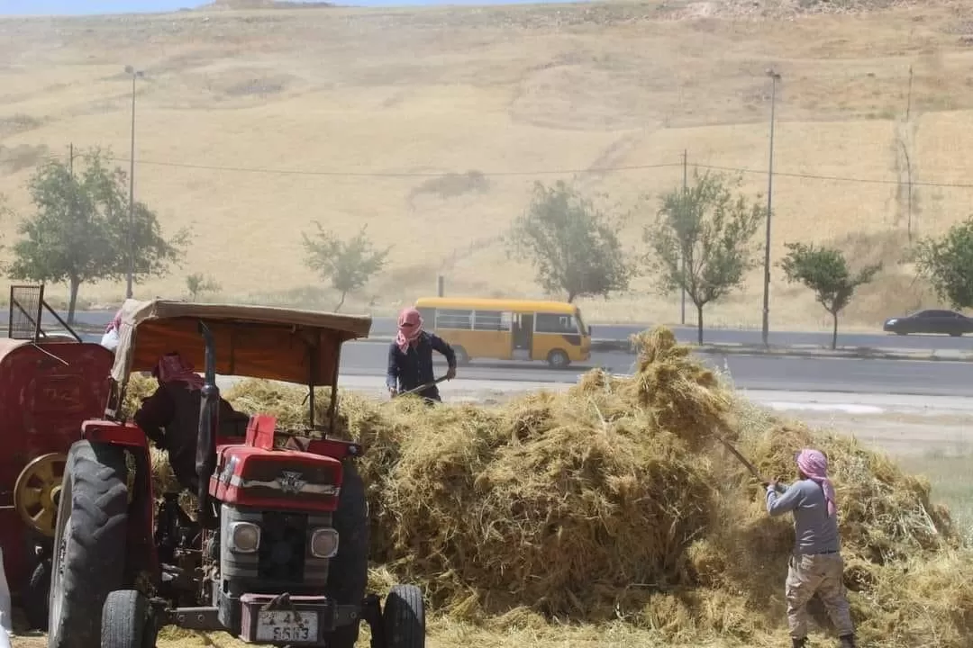 مدار الساعة,أخبار الأردن,اخبار الاردن