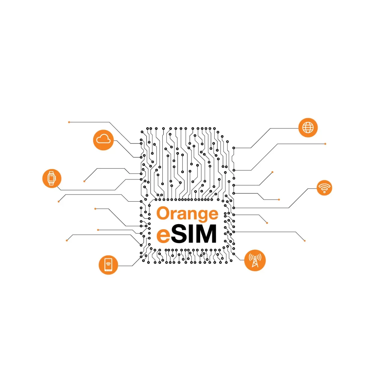 مدار الساعة,مناسبات أردنية