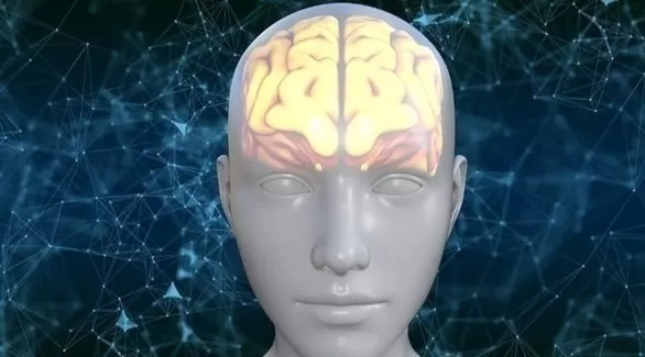 مدار الساعة,أخبار الأسرة