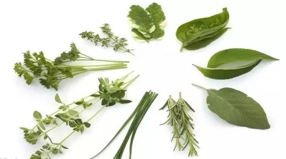 مدار الساعة,أخبار الأسرة