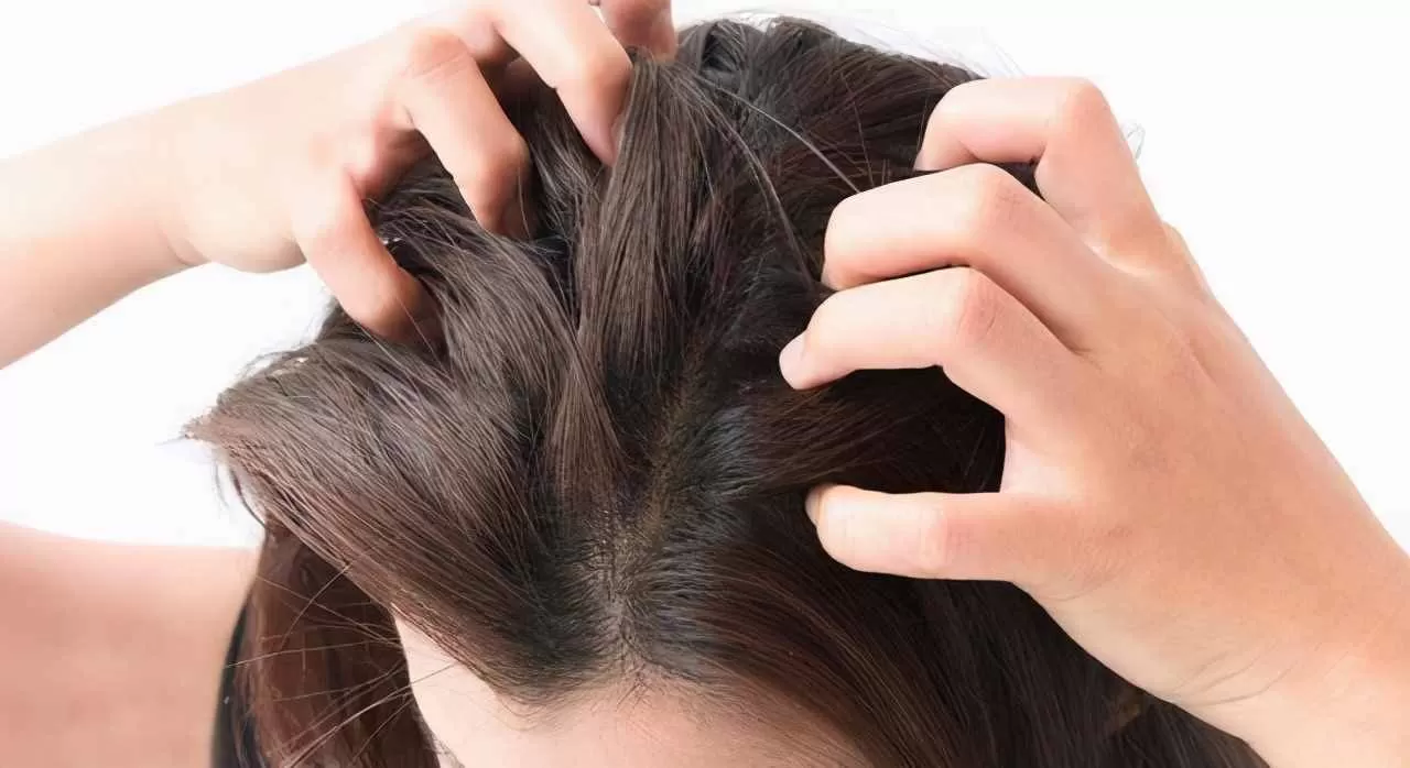 مدار الساعة,أخبار الأسرة