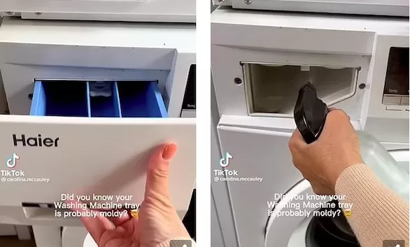 مدار الساعة,أخبار الأسرة