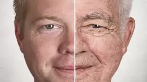 مدار الساعة,أخبار الأسرة