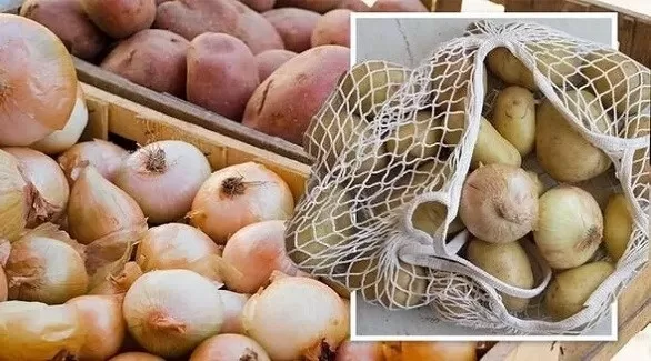 مدار الساعة,أخبار الأسرة