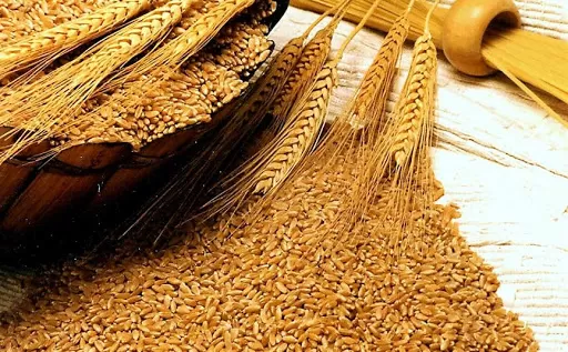 مدار الساعة,أخبار الأردن,اخبار الاردن,وكالة الأنباء الأردنية