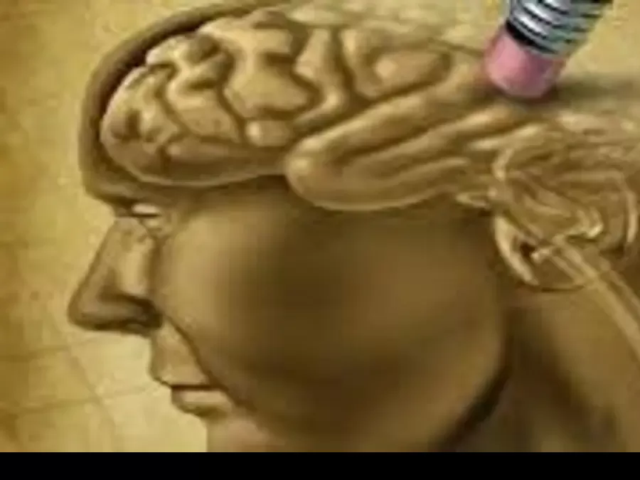 مدار الساعة,أخبار الأسرة