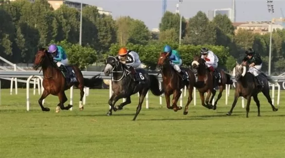 مدار الساعة,أخبار رياضية