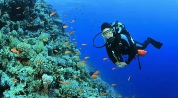 مدار الساعة,أخبار السياحة في الأردن