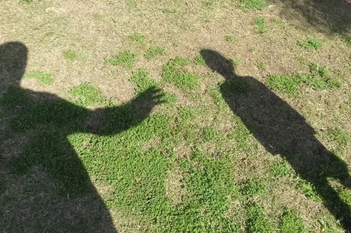 مدار الساعة,أخبار عربية ودولية