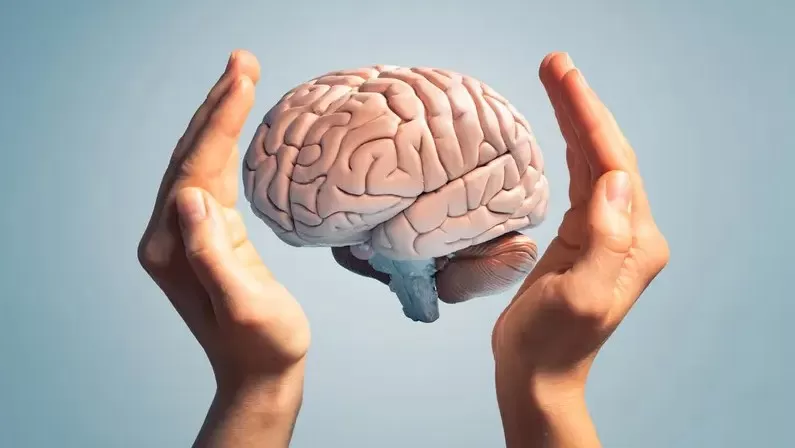 مدار الساعة,أخبار الأسرة